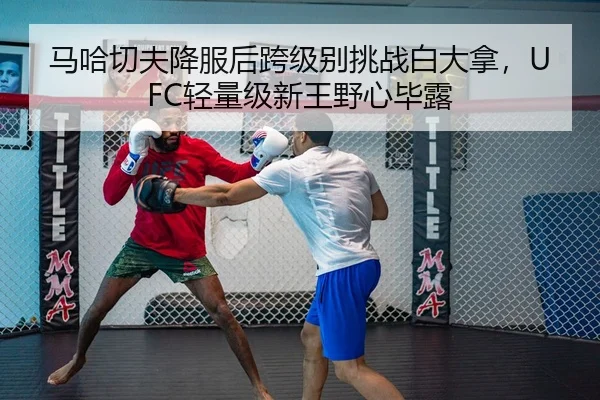 ma-ha-qie-fu-xiang-fu-hou-kua-ji-bie-tiao-zhan-bai-da-na-qing-liang-ji-xin-wang-ye-xin-bi-lu-2-476.jpg