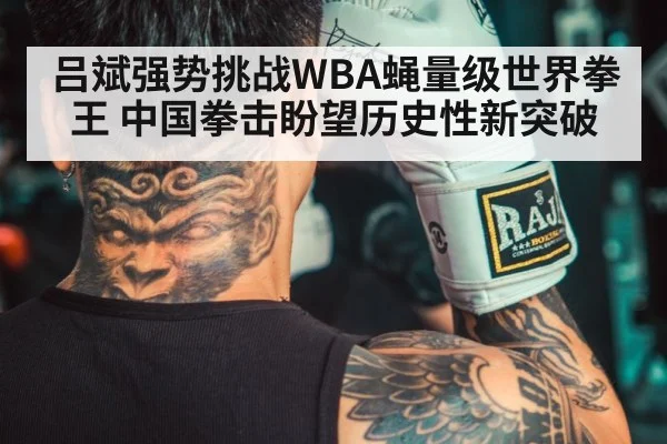 吕斌强势挑战WBA蝇量级世界拳王 中国拳击盼望历史性新突破